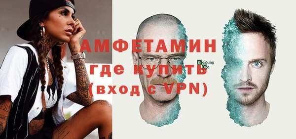 spice Богданович