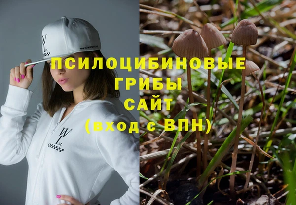 круглые Богородицк