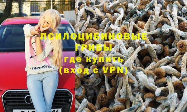 бошки Бугульма