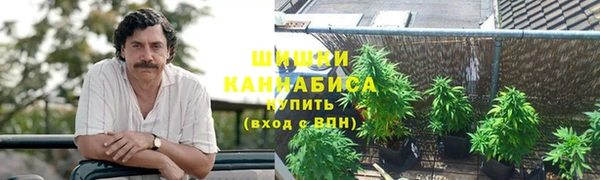шишки Богородск