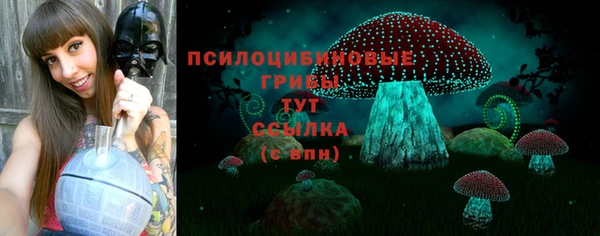 шишки Богородск