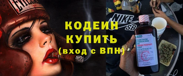 шишки Богородск