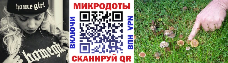 как найти наркотики  Верхний Уфалей  Псилоцибиновые грибы ЛСД 